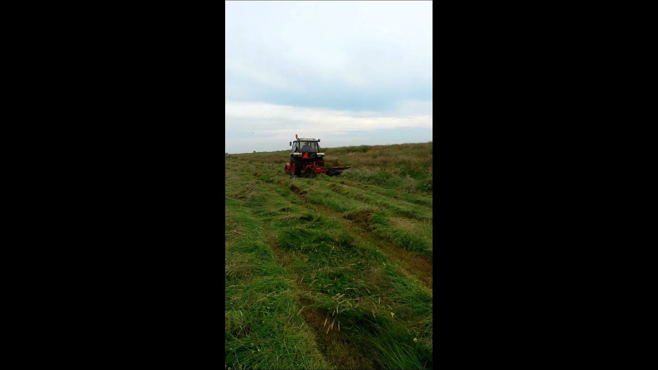 David Brown 1190 grass mowing