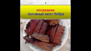 посредник. Копчёный хвост бобра посредник. Копчёный хвост бобра