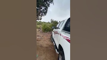 دحيم الحماد 1443ه تلاوة من سورة هود