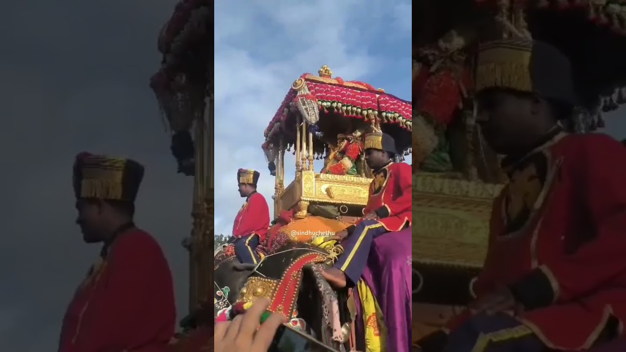 Mysore Dasara jamboo Savari 2025|