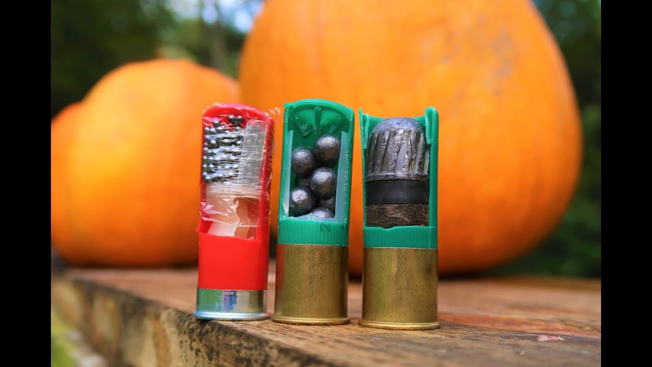 Birdshot Buckshot And Slugs!!! - Shooting Pumpkins!!!