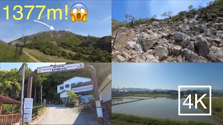 Travel vlog - Road to and hiking up Mountain Ibuki Vlog, Shiga, Japan 2023 05 4K