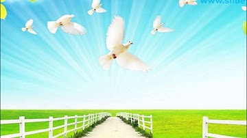 Nature Beauty PowerPoint Templates Themes And Backgrounds ppt themes