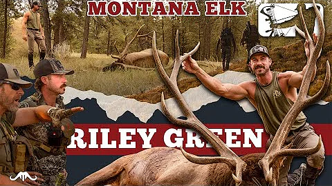 Riley Green Bowhunting Montana Elk | 3rd Times A Charm | Major League Bowhunter