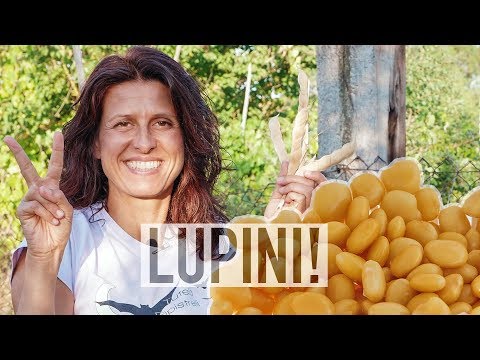 Video: Come Fare I Lupini Con La Carta Colorata