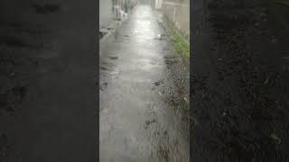 Download Mp3 setelah hujan reda.jalan jadi becek ga ada ojek Gudang lagu Download Mp3 setelah hujan reda.jalan jadi becek ga ada ojek