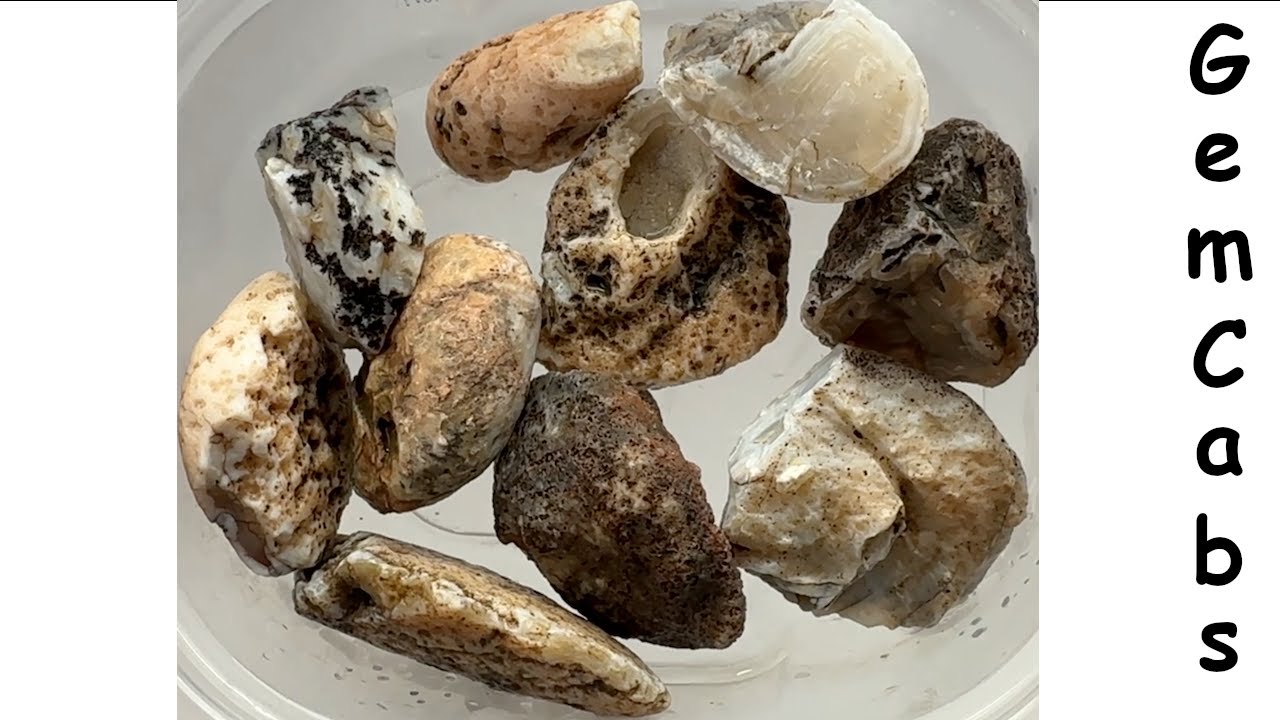 Group of Miscellaneous Arizona Rocks Cut Open to Reveal What is Hiding ...