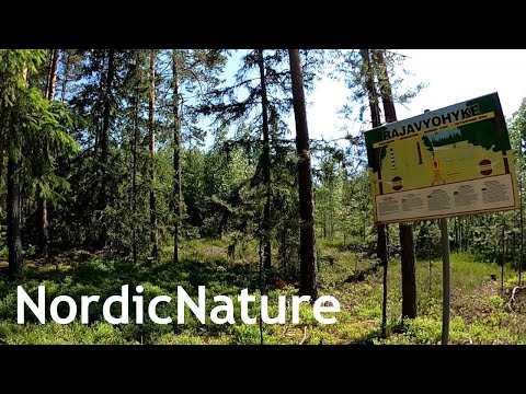 Southern end of the Finnish-Russian border (border zone marked), taiga forest.