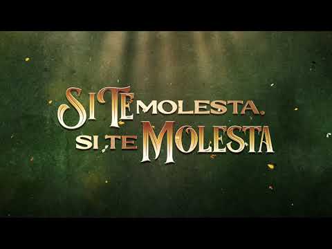 Los Chavalitos - Un Millon De Primaveras [Lyric Video]