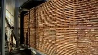 Luxhammar 60m3 loading capacity wood thermal modification plant