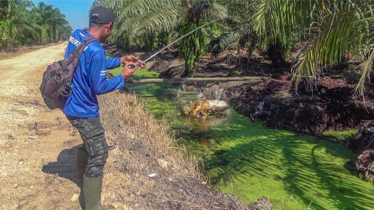 HADUHH !!! Begini Jadinya Mancing Disaat Panas Terik 😨