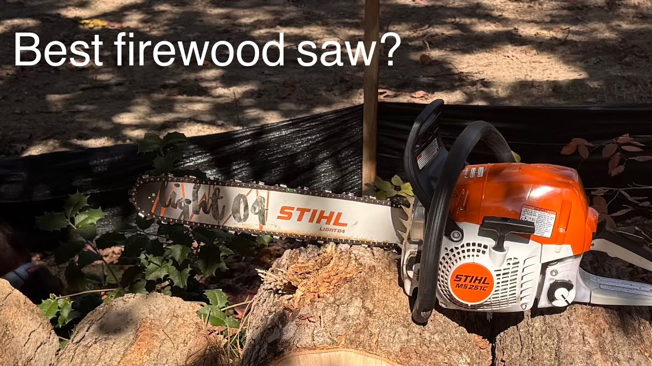 Stihl MS 251 C 4 month review 