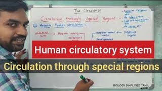 Circulation through special regions | Human circulatory system | Senthilnathan