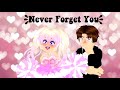 NEVER FORGET YOU | Royale High Music Video