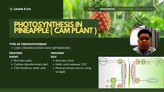 AGR499 INDIVIDUAL ASSIGNMENT ( PINEAPPLE )