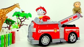 Paw patrol & Lego Duplo Zoo. Videos for children. Paw patrol & Lego Duplo Zoo. Videos for children.