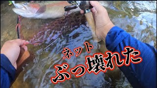 予想外!のニジマスでネットぶっ壊れたwww【北海道 釣り】