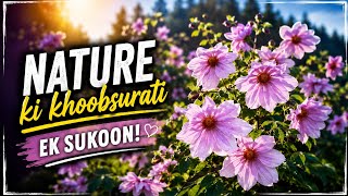 Pink Flower Garden In Nature 🌸 Relaxing Nature View 4K Beautiful Flowers Scenery