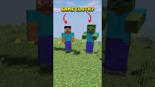 Why Zombie And Steve Wear Same Clothe?