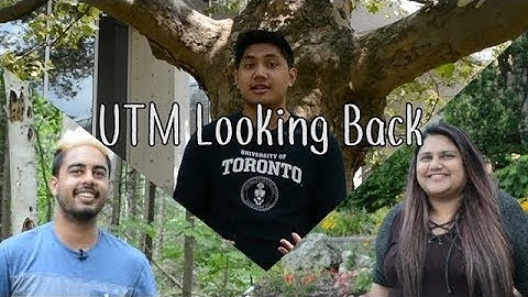 UTM   Looking Back | UTMEngage