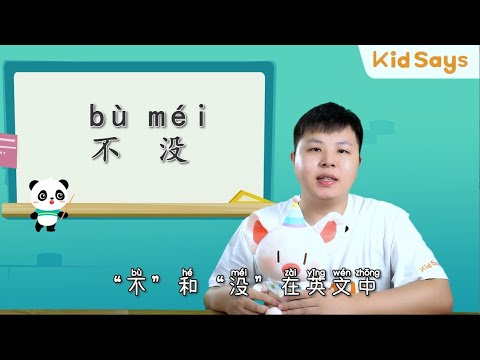 《“不”和“没”的区别》| HSK Standard | Learn Mandarin/Chinese with Native Chinese Teacher for Kids| TCSOL 中文汉语