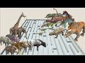 Animal vs. Dinosaur speed race. Maze course! | Animal Revolt Battle Simulator