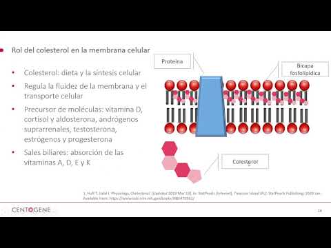 Vídeo: Pautas De Consenso Para El Manejo Clínico De La Enfermedad De Niemann-Pick Tipo C