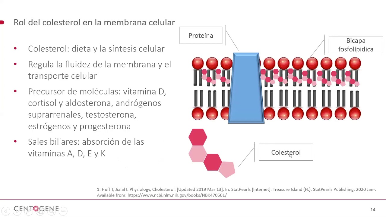 Enfermedad de Niemann-Pick tipo B – FEMEXER