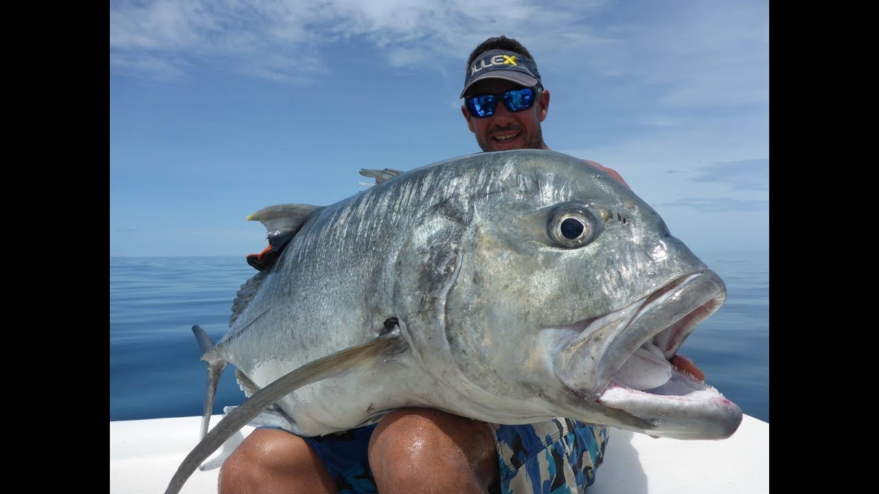 GT Fishing The Perfect Day YouTube