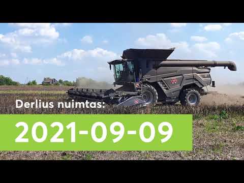 Video: Nuimto Derliaus Laikymas