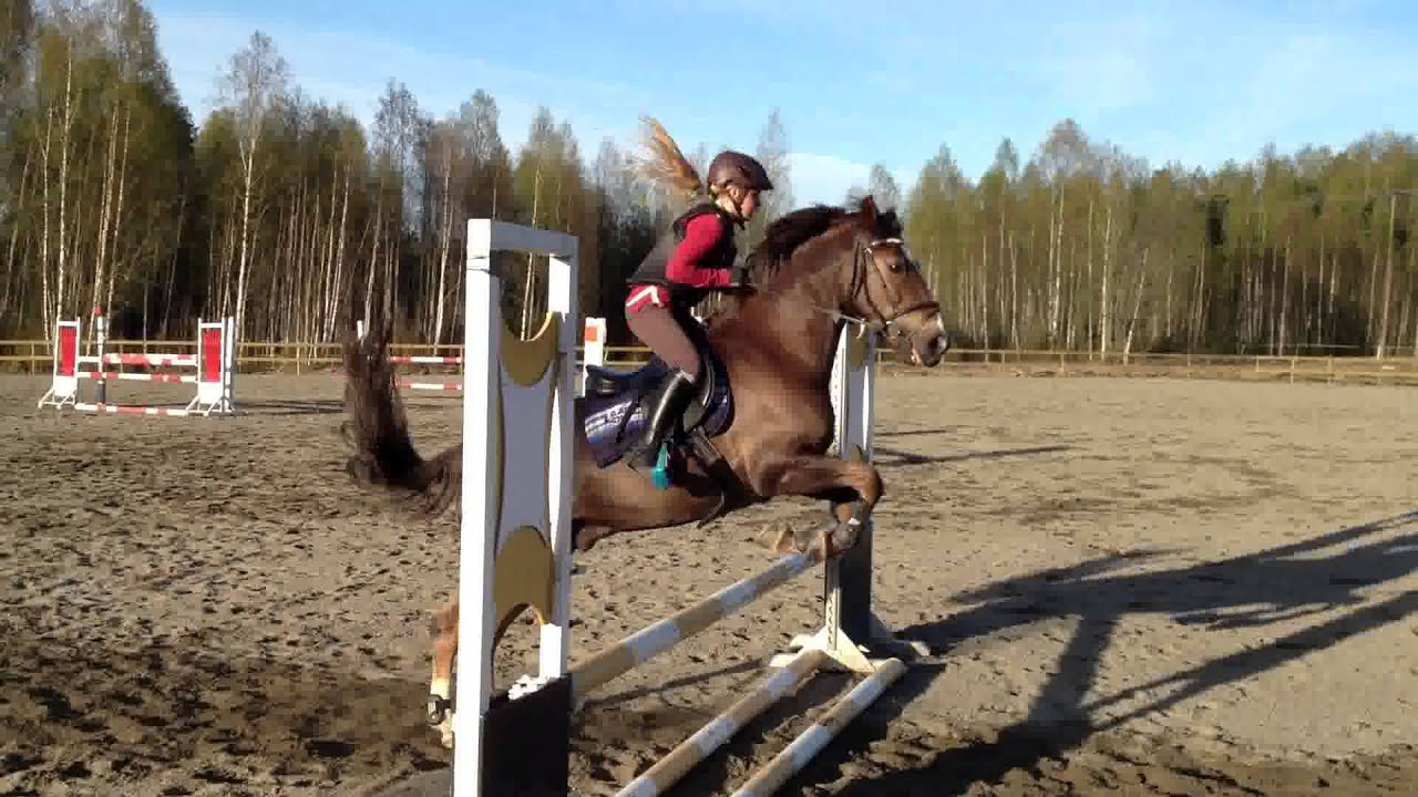 Woody og Iselin. sprangtrening 29 april. Danka trening_3