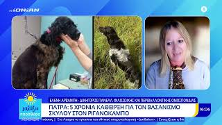 Πέντε χρόνια κάθειρξη σε Ρομά για τον βασανισμό σκύλου στην Πάτρα