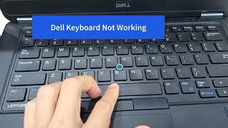 FIX: Dell Keyboard Not Working Windows 10 #Dell Latitude E7450 Laptop