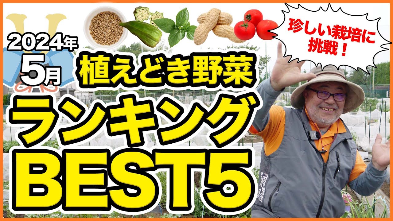 家庭菜園や農園で5月にオススメ！植えどき野菜ランキングBEST5！栽培オススメ品種の育て方を徹底解説【農園ライフ】