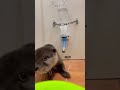 絶妙なアングルでお楽しみください