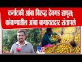 Sindhudurg Hapus Mangoes | कर्नाटकी आंबा विरुद्ध देवगड हापूस; कोकणातील आंबा बागायतदार संतापले