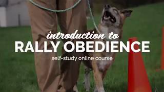 Introduction to Rally Obedience  SelfStudy Course