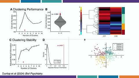 OHBM 2025 | Educational Course | How to Use MRI to Optimize Brain Stimulation | Part 9