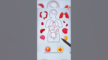 Ghép đúng đồ vật 200 IQ #1 | Match the objects correctly | Puzzle Gameplay