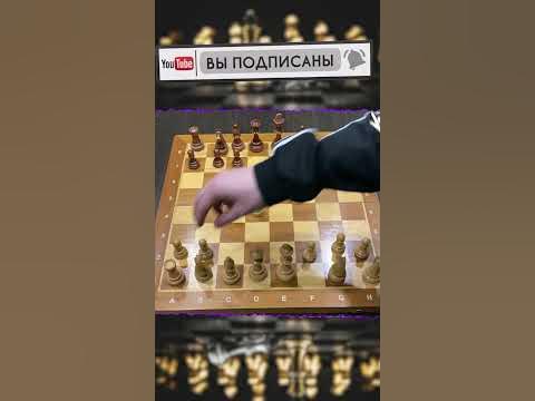 Шахматы обучение тактике