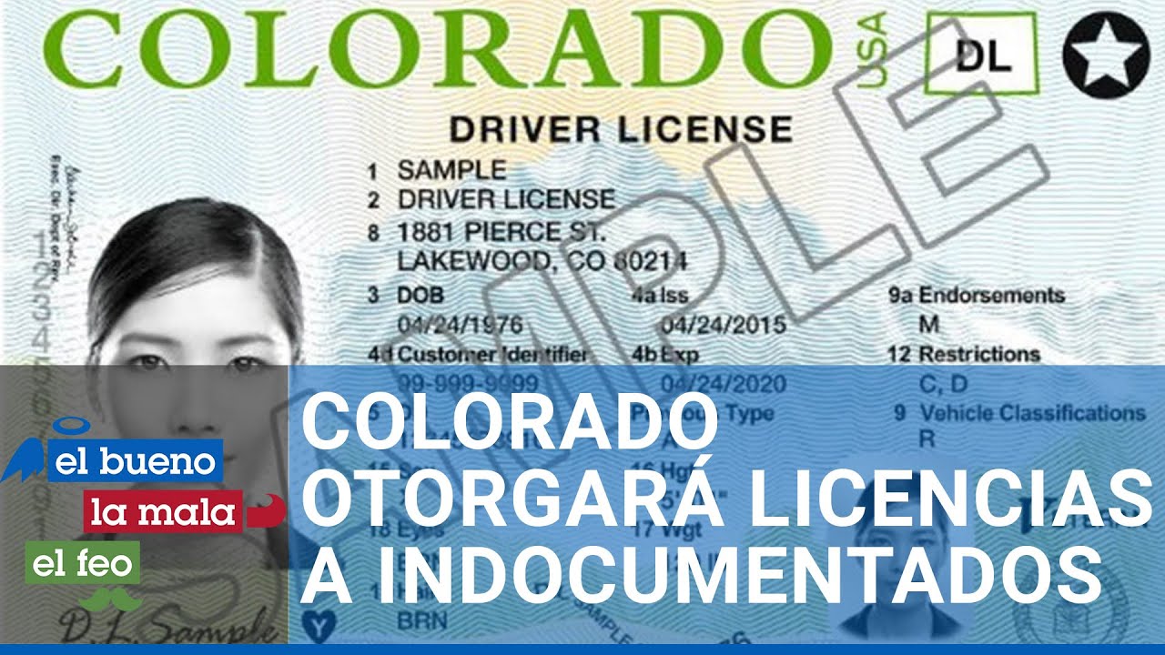 Colorado entregará licencias a indocumentados con requisitos fáciles de