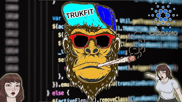 How to update the metadata on a Cardano NFT that has already been minted