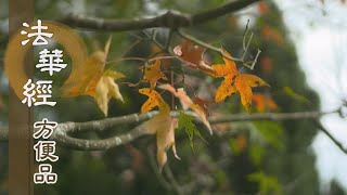 【靜思妙蓮華】法華經方便品 - 施法不吝惜 - 20200630 第355集