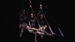 Performance | Circus Arts | Gainesville Circus Center | TEDxUF