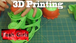 🏰   3D Printing With The Flashforge Creator Pro