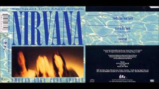 Nirvana - Smell Like Teen Spirit (Guitar Only) chords