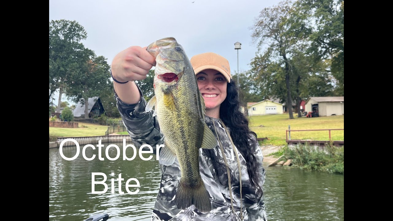 Bass Fishing : catching bass during October