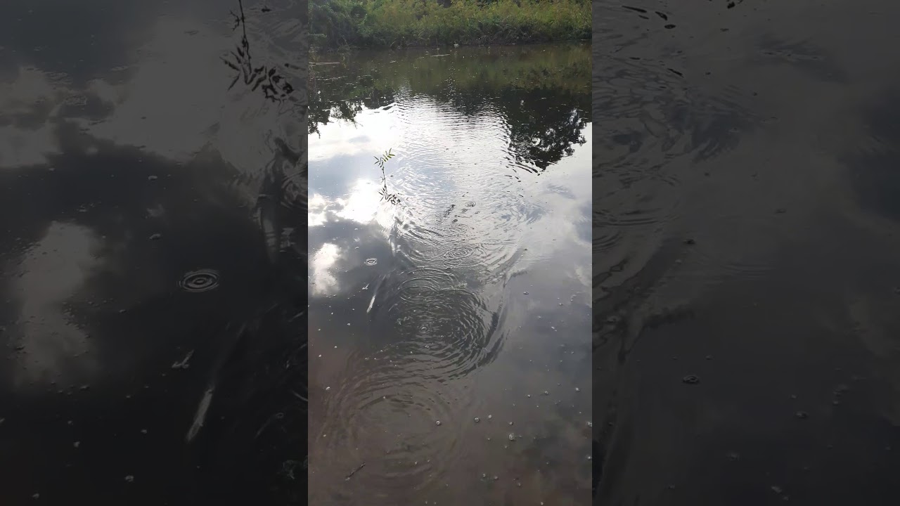Test lure 