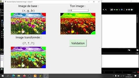 Assistant Python: traitement d