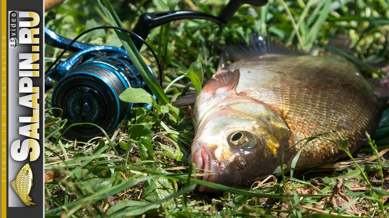 рыбалка на москва реке летом видео